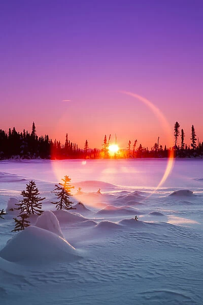 Sun Flare Glowing Over A Winter Landscape; Trapper Creek, Alaska, United States Of America