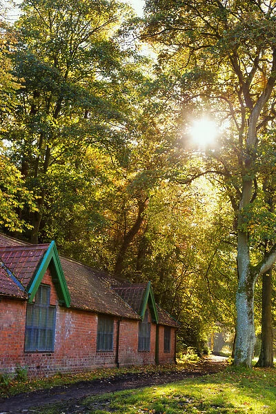 Sunlight Shines Through The Trees Onto The Grass Beside A Brick Building; Durham, England
