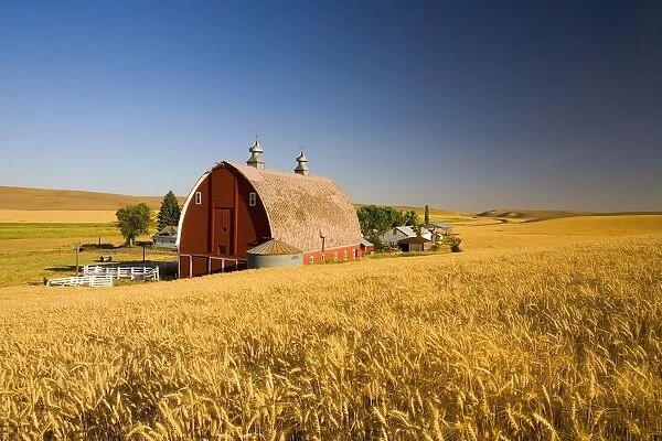 Sunset Barn And Wheat Field; Steptoe Butt, Washington, Usa