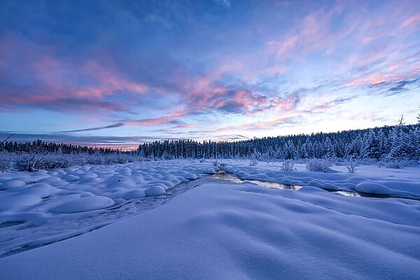 Sunset illuminates the sky over McIntyre Creek in winter, Yukon