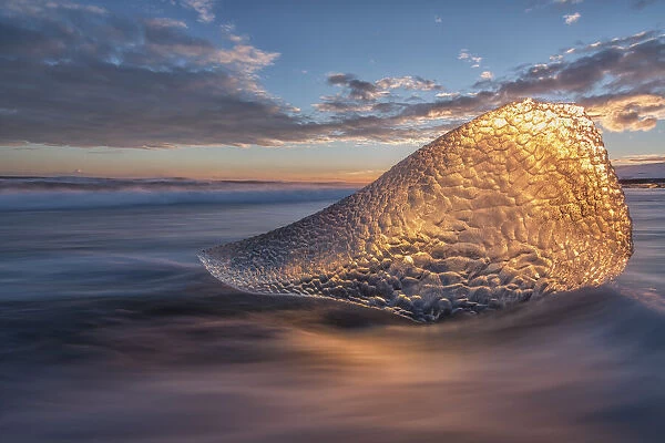 Sunset Light Is Shining Through A Piece Of Ice Along The South Coast Of Iceland; Iceland