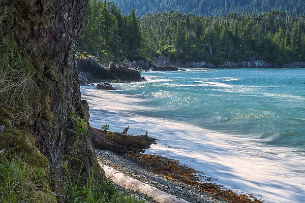 The Surf Pounds The Shoreline; Haida Gwaii, British Columbia, Canada