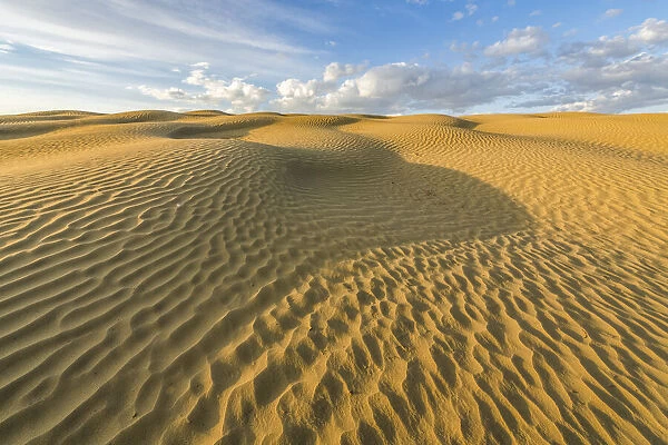 Surface of sand rippled by wind erosion, Great Sandhills Ecological Reserve; Val Marie, Saskatchewan, Canada