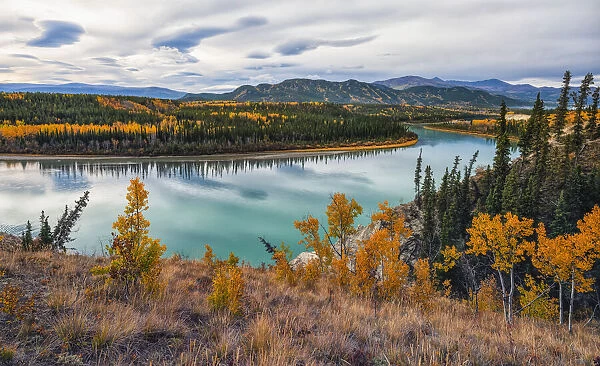 Takhini River in autumn with a bright, colourful landscape, Yukon, Canada