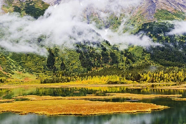 Tern Lake, Fog And Fall Colours, Alaska