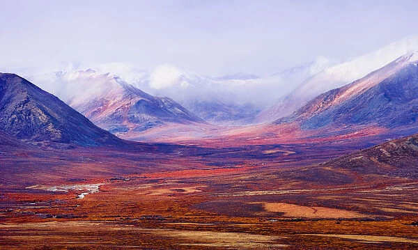 Tombstone Range And Fall Colours In Ogilvie Mountains Along Dempster Highway, Tombstone Territorial Park, Yukon