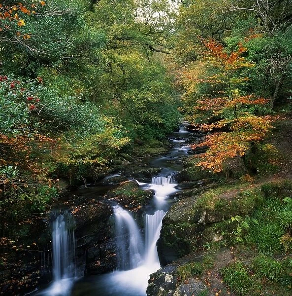 Torc Waterfall, Ireland, Co Kerry
