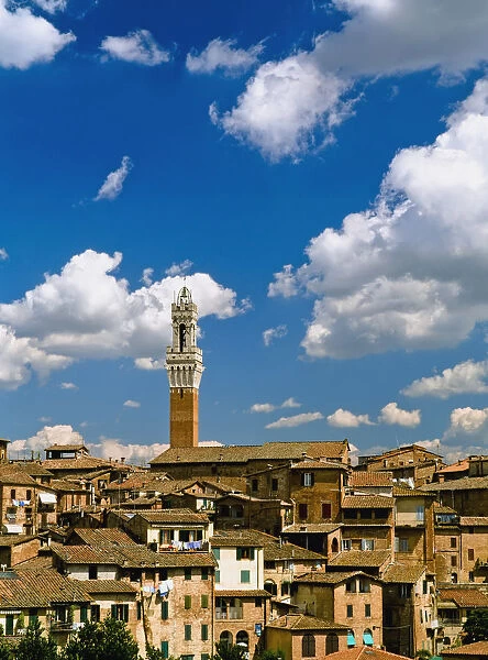 Torre De Mangia And Siena Skyline
