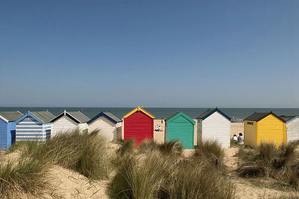 Traditional colourful beach huts in the sand dunes; Southwold, Suffolk, England