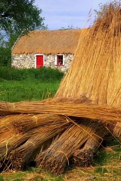 Traditional Thatching, Ireland