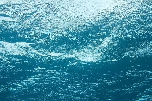 Underwater Image