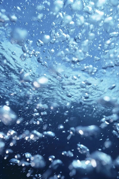 Underwater View Of Air Bubbles Near Surface