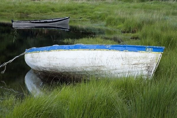 Upper Lake, Killarney National Park, County Kerry, Ireland; Boat In Shore Grass