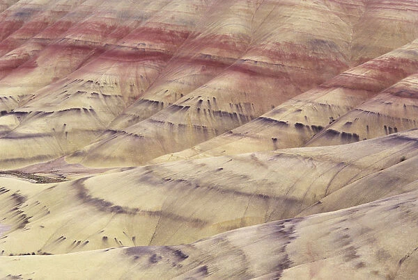 USA, Detail Of Colorful Patterns In Hill Ridges; Oregon, Painted Hills Area, John Day Fossil Beds National Monument