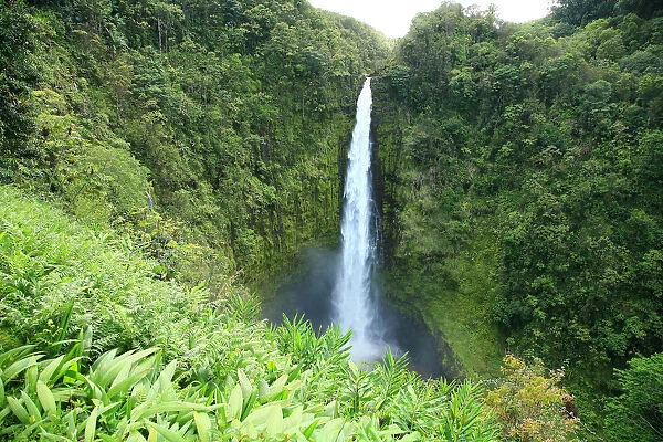 USA, Hawaii Islands, Big Island, View Of Misty Falls; Akaka Falls State Park
