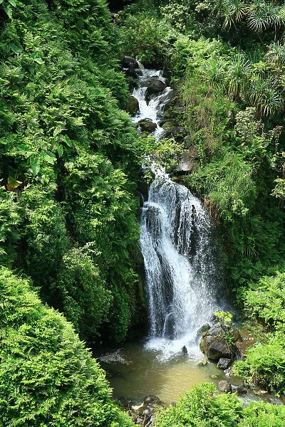 USA, Hawaii Islands, One of many waterfalls along Hamakua Coast with water cascading into pond; Big Island