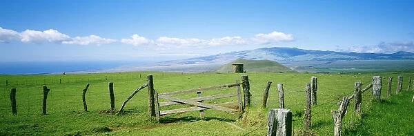 USA, Hawaii, Mauna Kea In Background; Big Island, Country Landscape With Pasture And Wooden Fence, Kamuela