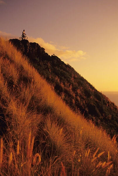 USA, Hawaii, Oahu, Mountain Bbiker at top of hill at sunset; Lanikai