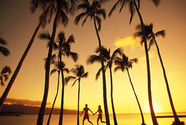 View Of Couple In Park By Beach Palm Trees, Golden Sunset