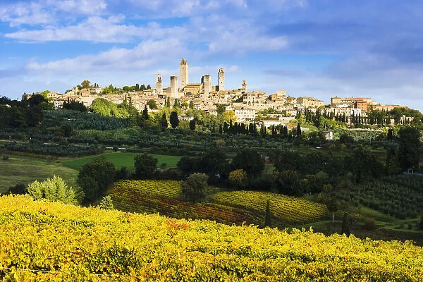 Vineyards And San Gimignano; Tuscany, Italy