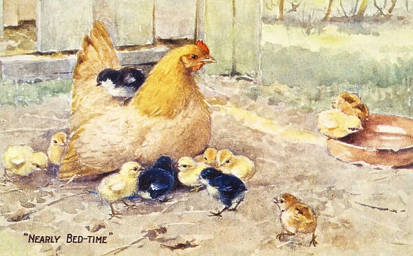 Vintage Greeting Card With Illustration Of Hen And Chicks From 20th Century
