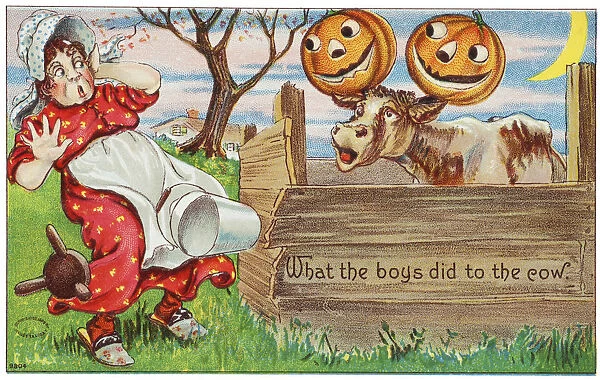 Vintage Halloween Greeting Card With Cow With Jack-O-Lanterns On Horns From 20th Century