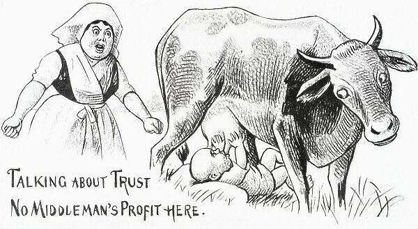 Vintage Illustration Of Baby Sucking Utters From Cow And Angry Mother From 19th Century
