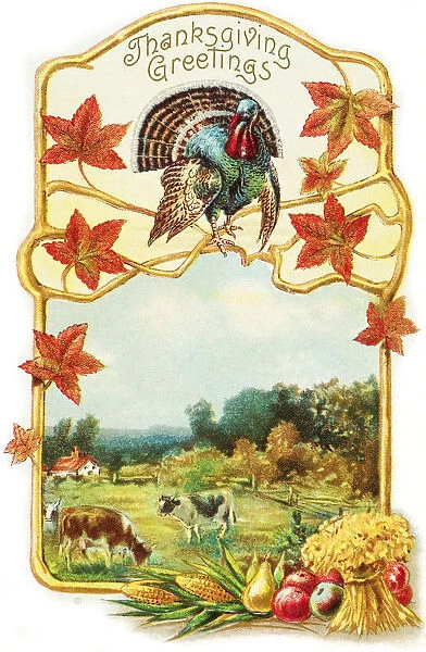 Vintage Thanksgiving Greeting Card With Illustration Of Turkey And Cows From 19th Century