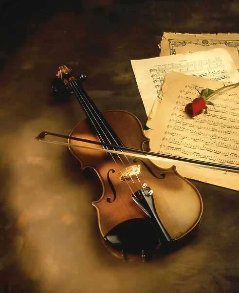 Violin, Sheet Music, and Rose