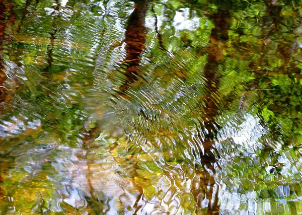 Water Abstract 18, Massachusetts, Seekonk, Caratunk Wildlife Refuge, Ripples And Reflections On Water Surface
