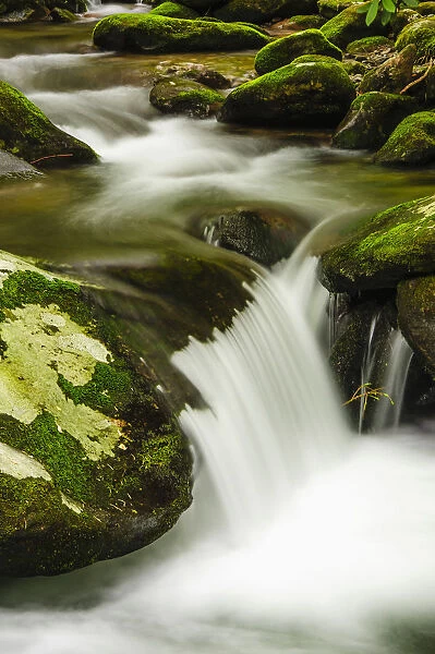 Water cascading over moss covered rocks great smoky mountains national park; Tennessee united states of america