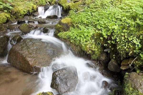 Water Cascading Over Rocks, Mount Hood National Forest, Oregon, United States Of America