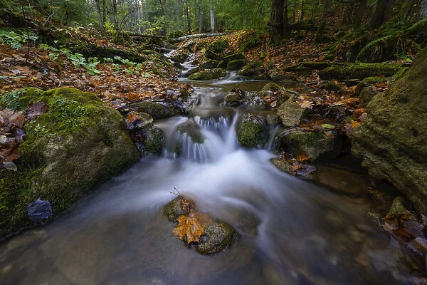 Water flowing in a stream in autumn