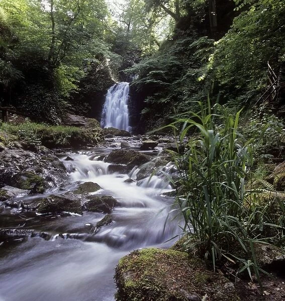 Waterfall In A Forest, Glenoe Waterfall, Glenoe, County Antrim, Northern Ireland