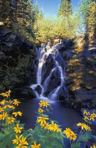 Waterfall, Kootenays, British Columbia, Canada