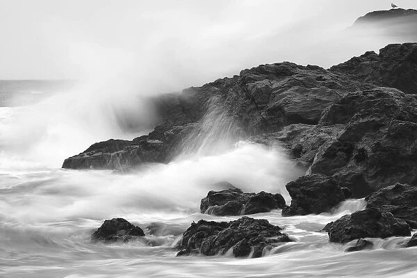 Waves On Rocky Shoreline, Long Beach, British Columbia