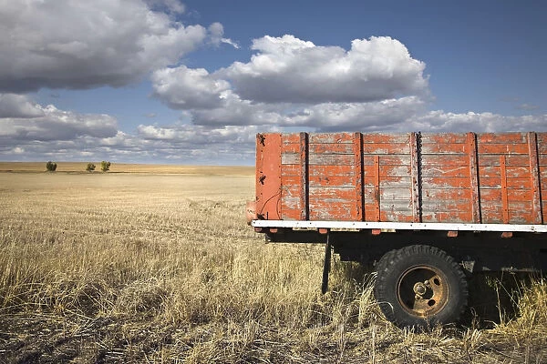 Weather-Beaten Farm Truck In Field; Saskatchewan, Canada