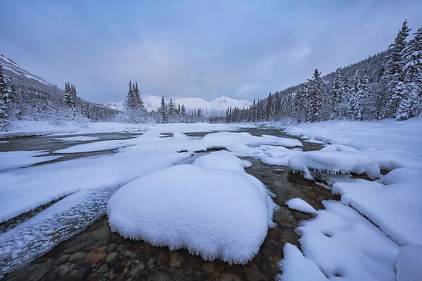Wheaton River in winter, Yukon