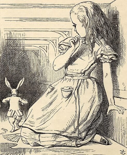 The White Rabbit Is Late Illustration By John Tenniel From The Book Alicess Adventures In Wonderland By Lewis Carroll Published 1891