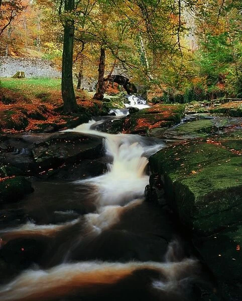 Co Wicklow, Ireland; Waterfalll Near Sally Gap