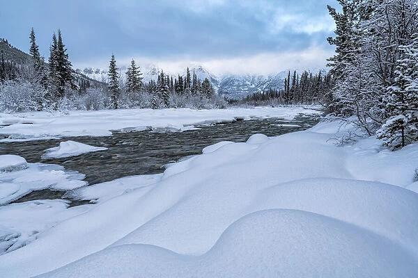 Winter landscape along the Wheaton River, Yukon, Canada