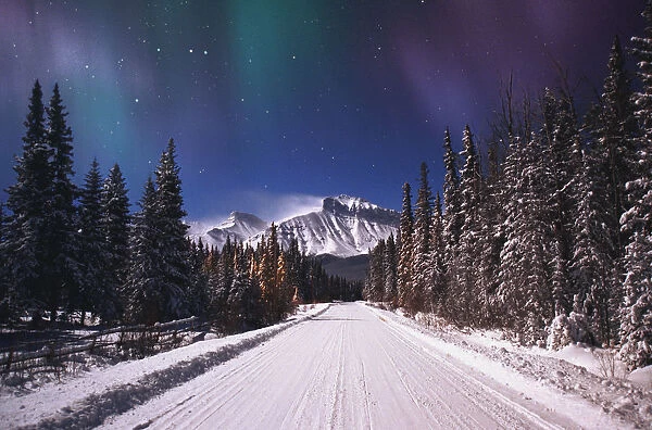 A Winter Road
