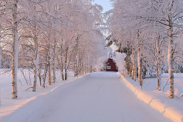 Winter Road, Kuusamo, Northern Ostrobothnia, Finland