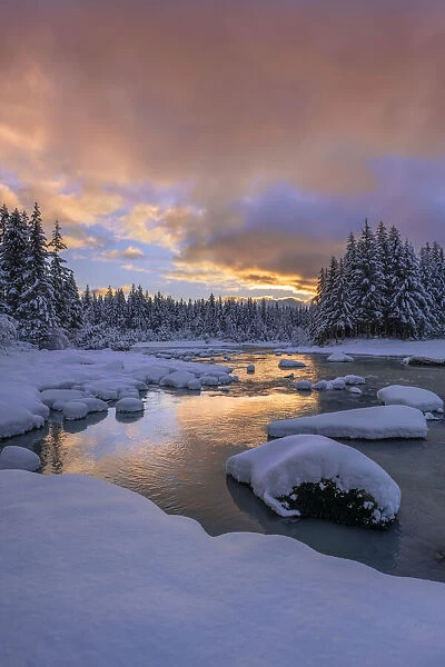 Winter scene of the Mendenhall River in the Tongass Forest at sunset, Juneau, Alaska, USA
