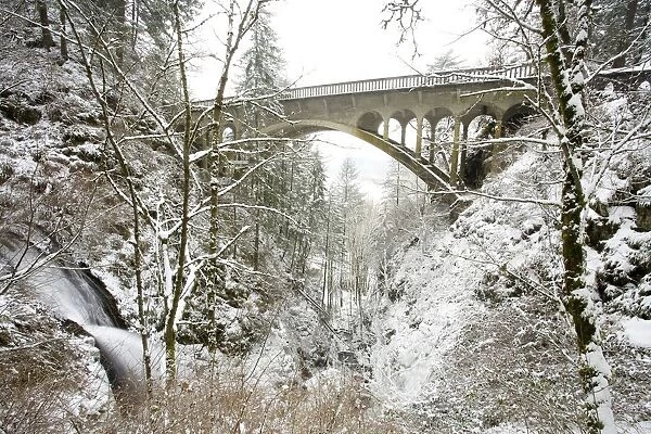 Winter, Shepperds Dell, Columbia River Gorge, Oregon, Usa