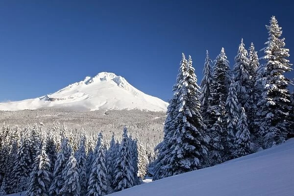 Winter Snow Over The Cascade Range; Mount Hood, Oregon, Usa
