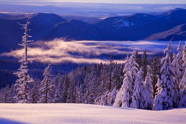 Winter Snow, Cascade Range, Oregon, Usa