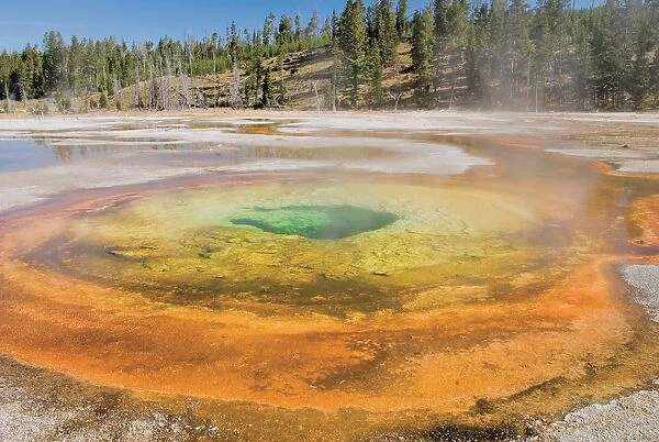 Yellowstone National Park, United States Of America; A Chromatic Pool