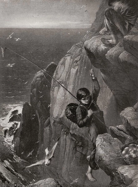Young Boy Gathering Eggs From A Nest Set In A Rocky Cliff Face In The Mid 19th Century. From Bibbys Annual Published 1910