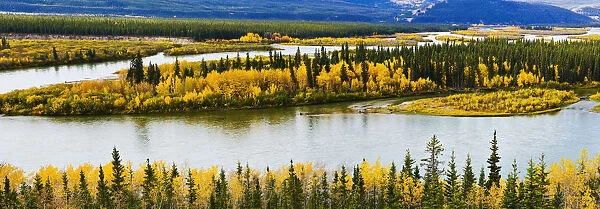 Yukon River And Fall Colours Near Carmacks, Yukon